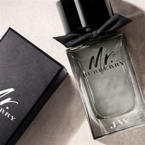 mr burberry eau de parfum persistenza|where to buy mr burberry.